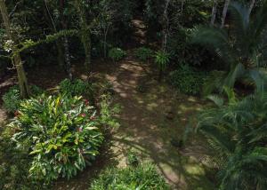Cabin with private tropical forest