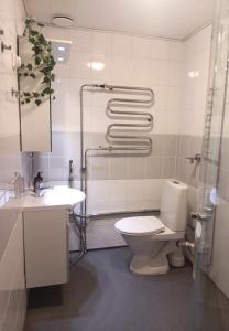 Spacious Studio in the Heart of Rovaniemi