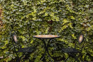 FortyPlusOne Apartments Vienna