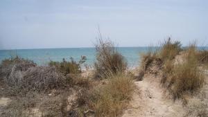 Apartamento junto al mar y al puerto de Guardamar