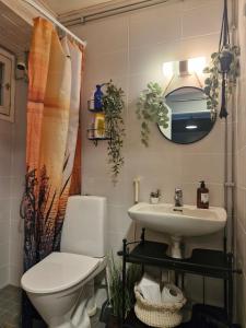 Studio apartment near main roads