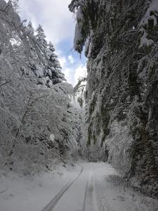 In the heart of nature with an unique view