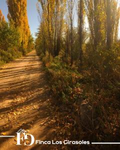 Hospedaje Los Girasoles