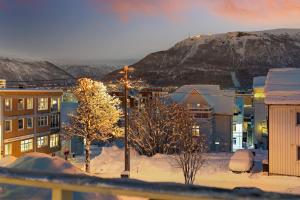 ARCTIC HOMES - Aurora Skyhouse