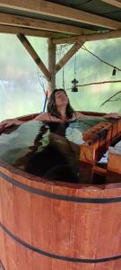 Pucón Volcano Forest SPA