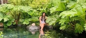 Pucón Volcano Forest SPA