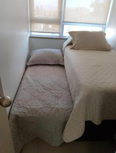 Acogedor depto Santiago Centro