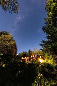 Pucón Volcano Forest SPA