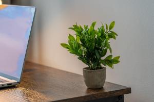 Comfortable 4 Bed Home - Excellent Transport Links