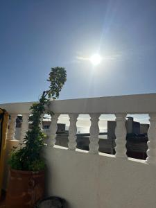 Black Pearl surf yoga and skate house