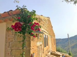 House in the Countryside with Aeolian View
