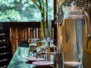 Tambopata Research Center