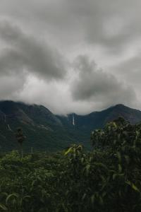 Evergreen Homestay