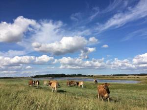 Beachfront Family Retreat - By Traum Ferienwohnungen