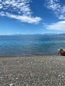 Cabaña entre mares Huelmo