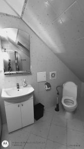 Tanie Noclegi Krysia Falsztyn