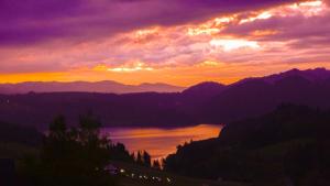 Tanie Noclegi Krysia Falsztyn