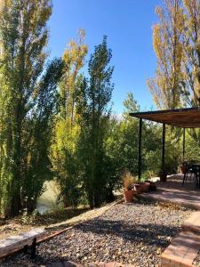 Container on the banks of Chubut River