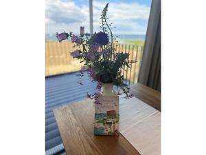 Home port Fehmarn-Beltblick