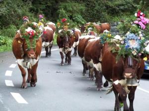 Holiday apartment with 1 bedroom