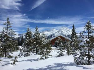 Holiday apartment with 1 bedroom