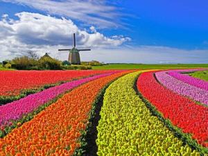 "Studio by the Water"