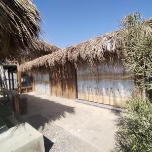 VITSA 180 Los Órganos