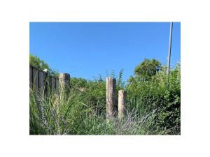 Bungalow in Zoutelande with swimming pool