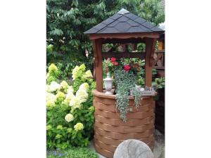 Holiday apartment Wulf-