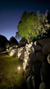 Costa de Lago - Cullelafquen