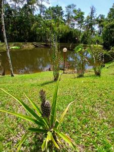 Casa com lago em Ubatuba