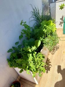 Luxury Penthouse in Jurerê with pool - 200m from the beach