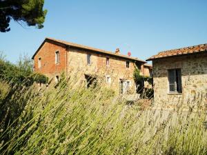 Apartment near Lake Trasimeno with Pool