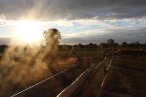 Feniks Agro&Spa Adults Only