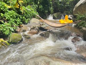 บ้านป้อหลวงแม่หลวง แม่กำปอง Baanporluangmaeluang Maekampong