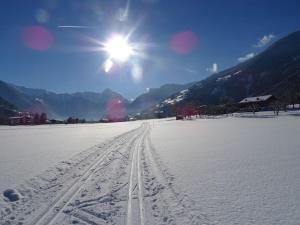 Holiday apartment Alpenrose in Huaterhof