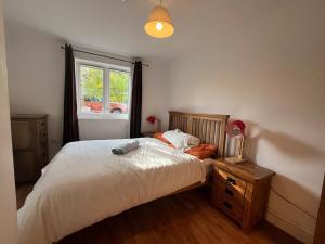 Rooksdown Town-House, Great for Group Get-Aways, Families & Contractors