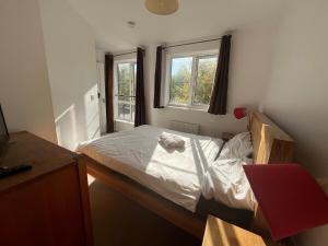 Rooksdown Town-House, Great for Group Get-Aways, Families & Contractors