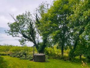 Holiday Home By Apple Orchard On Jungshoved