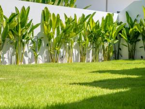 Elegant 3Br Villa Anawadee Private Pool & Garden