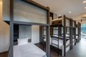 Odyssey Hotel 2, Tours & Motorbikes Rental