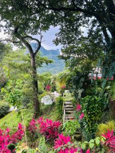 Hotel Villa La Fortuna