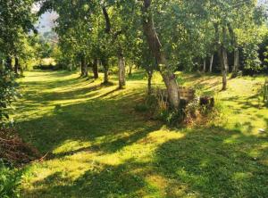 Holiday Home Tomislav