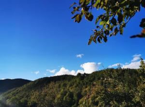 Holiday Home Tomislav