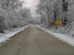 Holiday Home Tomislav