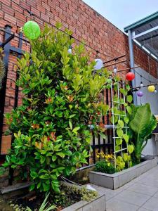 Home Người Đà Lạt