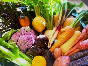 春日奈良 鹿のや