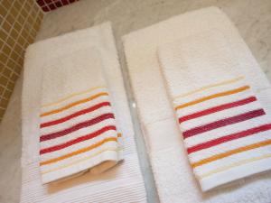 Luxurious Apartment in Rocca Grimalda with Garden