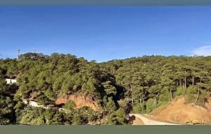 Cozy Escape in Baguio City