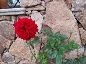 ACQUAMARINA con meraviglioso giardino img28